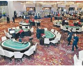 ayx大厅手机版登录入口2024最新版